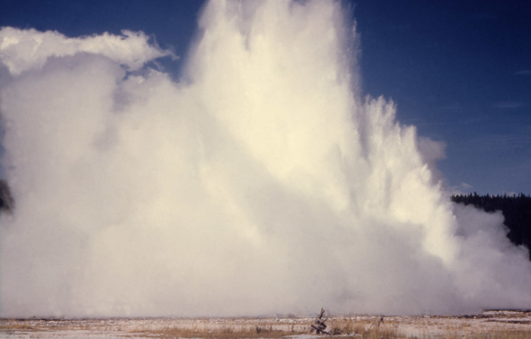 1959 Hebgen Lake earthquake